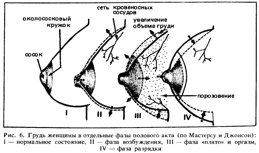 Подобрать фразеологизмы