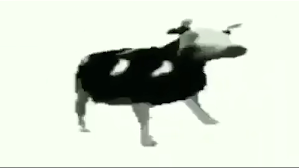 Расписание приема врачей