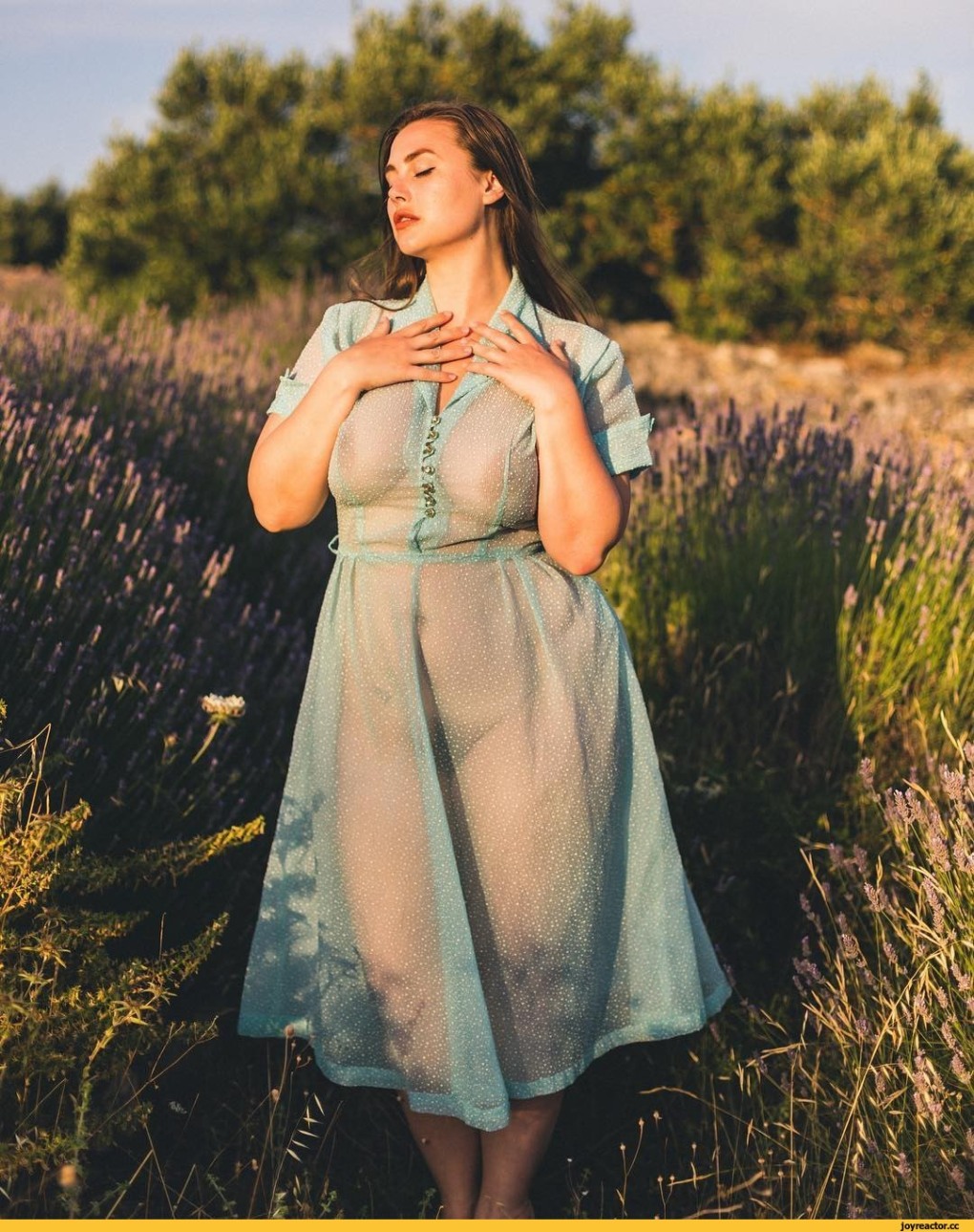 Лилиас Райт модель плюс