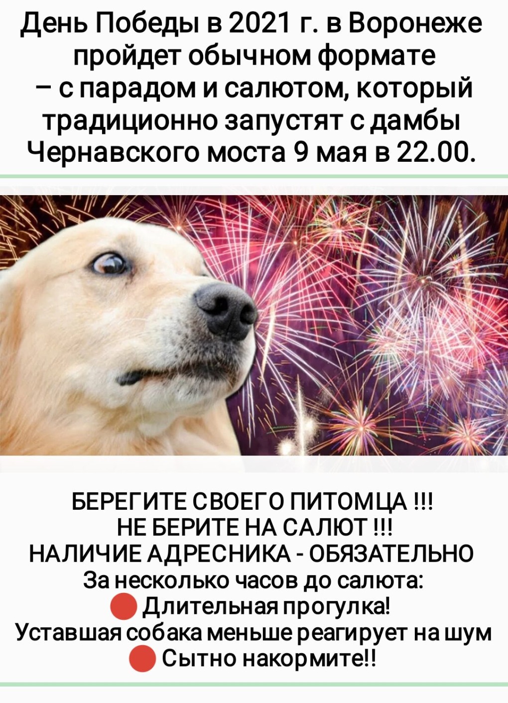 Слив шкур бот