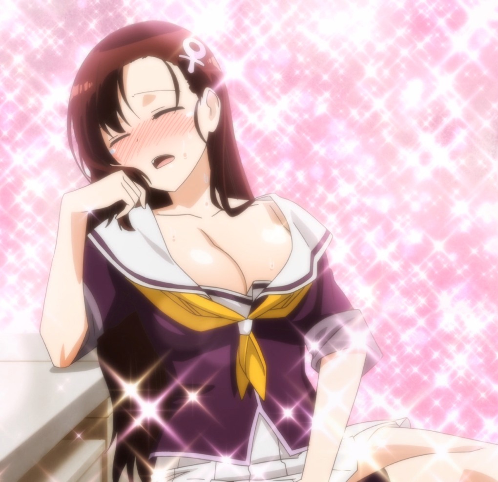 Murenase Shiiton Gakuen аниме