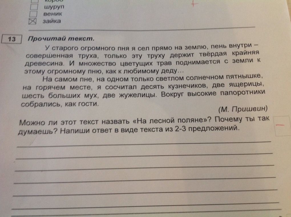 Девушки в купальниках частное